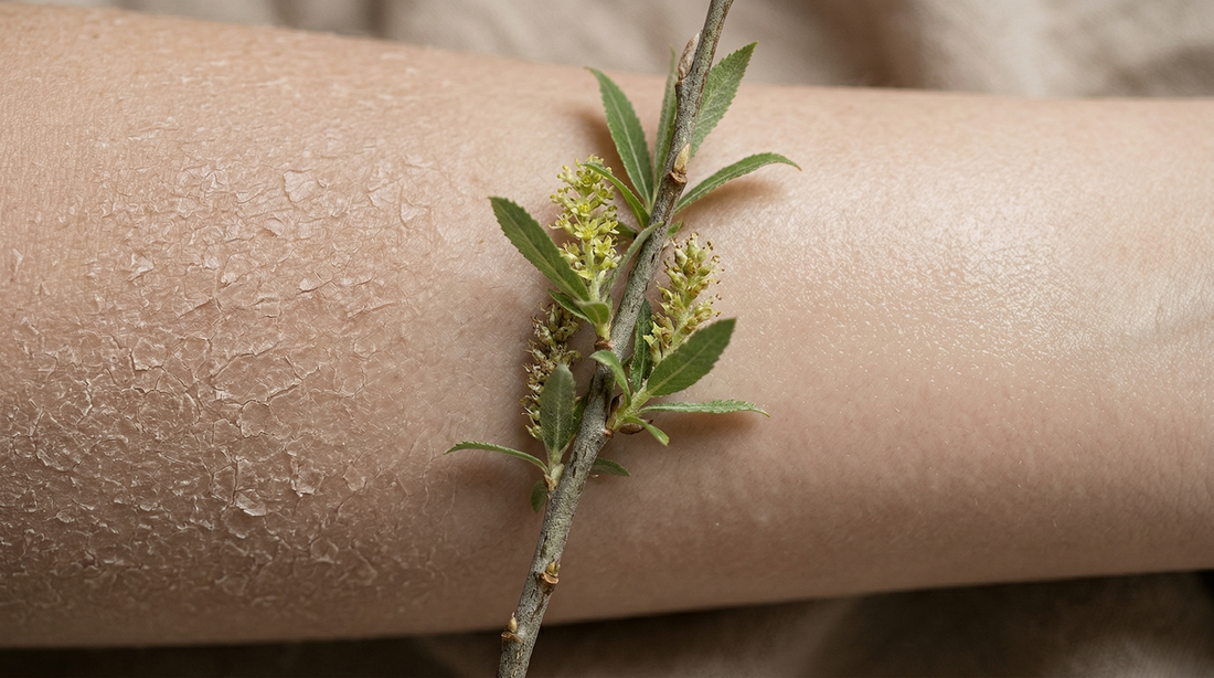 Psoriasis vs eczema vs dermatitis differences