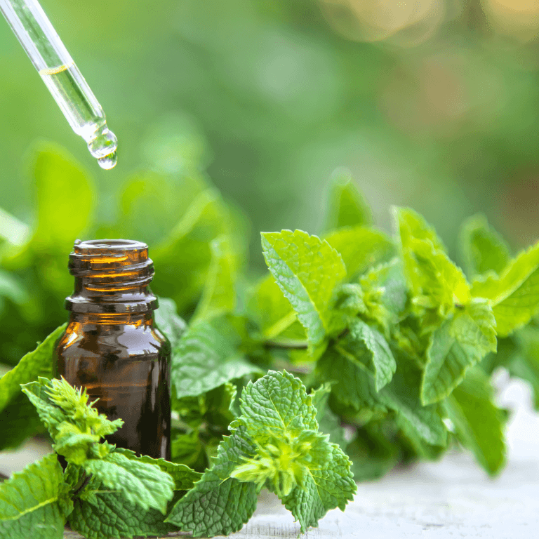 Mint leaves with a small glass bottle and pipette on a clean natural background.
